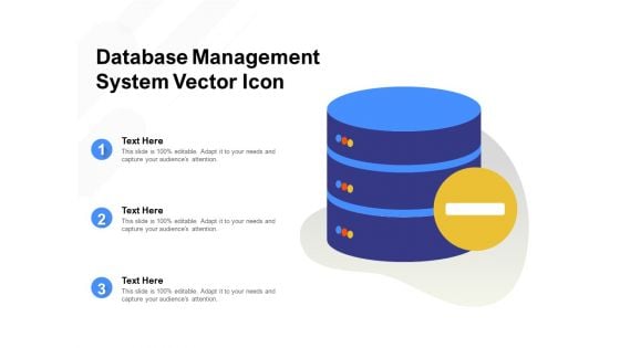 Database Management System Vector Icon Ppt File Graphics Template PDF