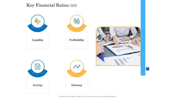 Deal Assessment Audit Process Key Financial Ratios Sample PDF