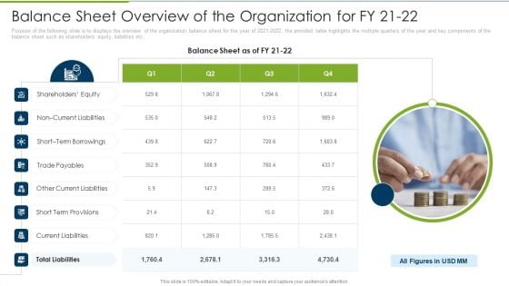 Debt Collection Improvement Plan Balance Sheet Overview Of The Organization For Fy 21 To 22 Themes PDF