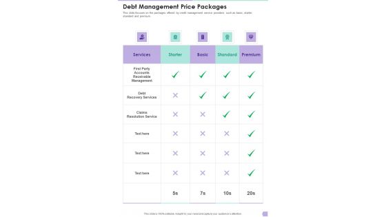 Debt Management Process Proposal Price Packages One Pager Sample Example Document