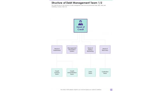 Debt Management Process Structure Of Debt Management Team One Pager Sample Example Document