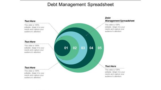 Debt Management Spreadsheet Ppt PowerPoint Presentation Pictures Portfolio Cpb