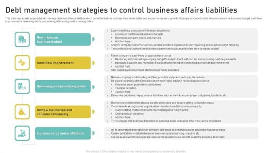 Debt Management Strategies To Control Business Affairs Liabilities Information PDF