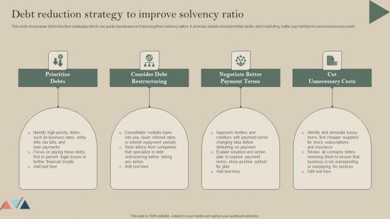 Debt Reduction Strategy To Improve Solvency Ratio Microsoft PDF