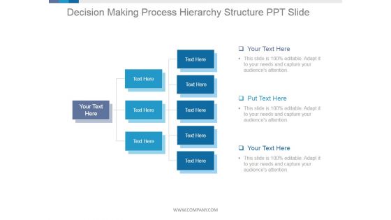 Decision Making Process Hierarchy Structure Ppt PowerPoint Presentation Pictures