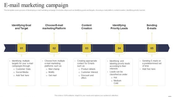 Defining Generic Target Marketing Techniques E Mail Marketing Campaign Introduction PDF