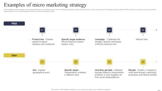 Defining Generic Target Marketing Techniques Examples Of Micro Marketing Strategy Themes PDF