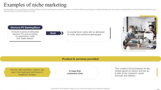 Defining Generic Target Marketing Techniques Examples Of Niche Marketing Inspiration PDF