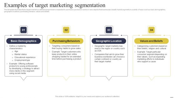 Defining Generic Target Marketing Techniques Examples Of Target Marketing Segmentation Slides PDF