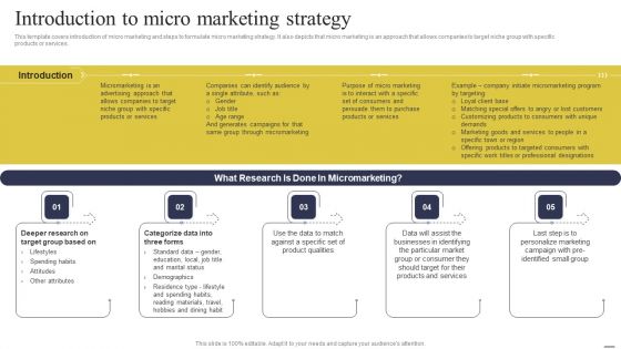 Defining Generic Target Marketing Techniques Introduction To Micro Marketing Strategy Demonstration PDF