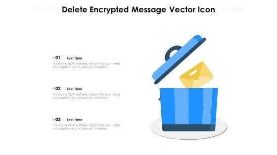 Delete Encrypted Message Vector Icon Ppt PowerPoint Presentation Pictures Styles PDF