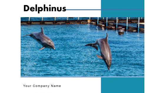 Delphinus Sea Water Ocean Water Ppt PowerPoint Presentation Complete Deck