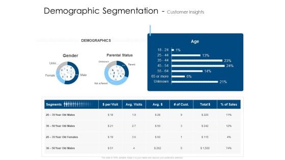 Demographic Segmentation Customer Insights Age Pictures PDF