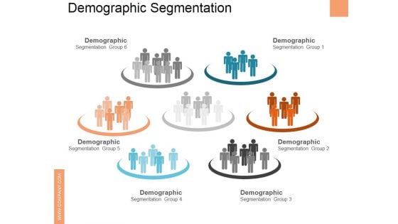 Demographic Segmentation Ppt PowerPoint Presentation Inspiration Slide Portrait