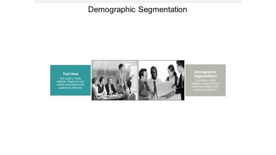 Demographic Segmentation Ppt PowerPoint Presentation Portfolio Format Cpb