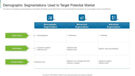 Demographic Segmentations Used To Target Potential Market Template PDF