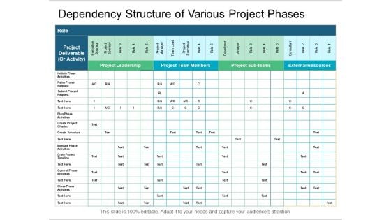 Dependency Structure Of Various Project Phases Ppt PowerPoint Presentation Styles Graphics Template PDF