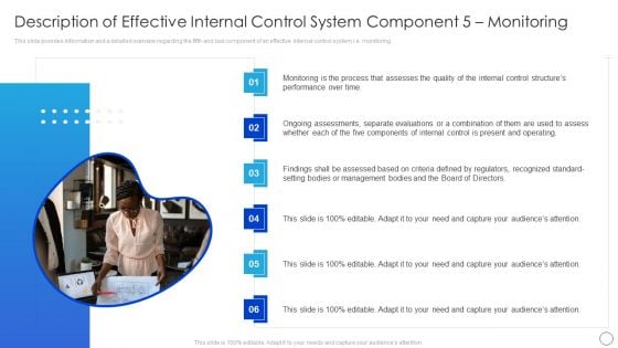 Description Of Effective Internal Control System Component 5 Monitoring Professional PDF