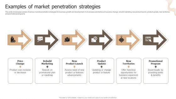 Designing Strategies For Company Growth And Success Examples Of Market Penetration Strategies Mockup PDF