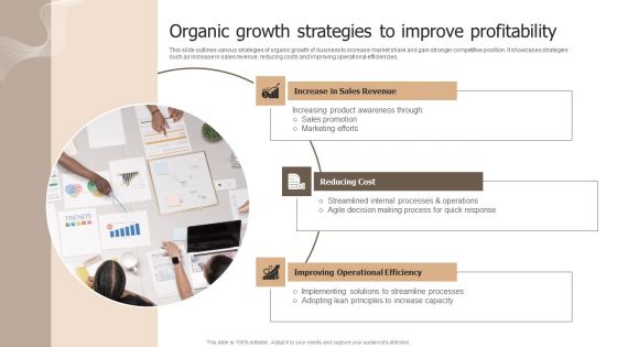 Designing Strategies For Company Growth And Success Organic Growth Strategies To Improve Profitability Template PDF