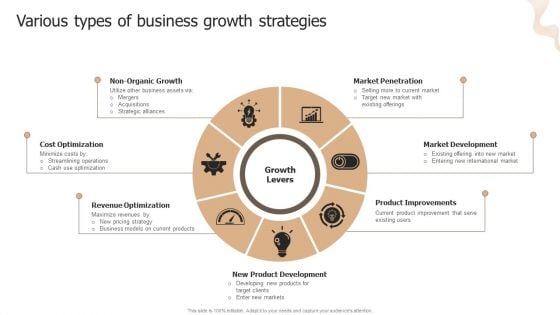 Designing Strategies For Company Growth And Success Various Types Of Business Growth Strategies Introduction PDF Designing Strategies For Company Growth And Success Various Types Of Business Growth Strategies Introduction PDF
