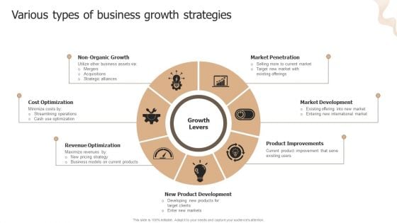 Designing Strategies For Company Growth And Success Various Types Of Business Growth Strategies Introduction PDF