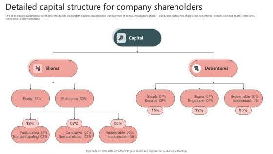 Detailed Capital Structure For Company Shareholders Designs PDF