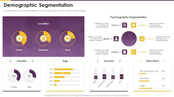 Detailed Guide Consumer Journey Marketing Demographic Segmentation Designs PDF