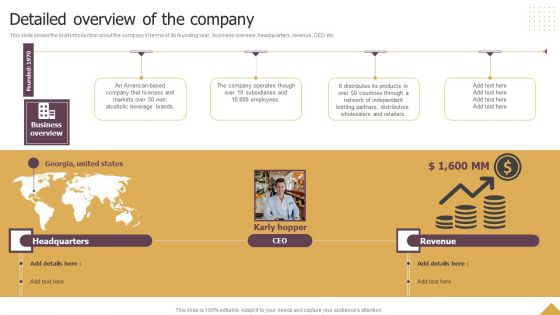 Detailed Overview Of The Company Ppt Infographic Template Themes PDF