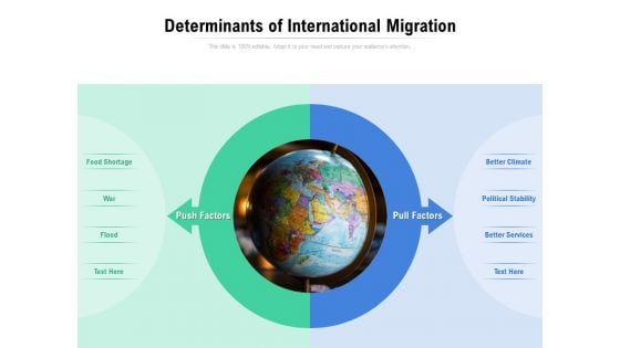 Determinants Of International Migration Ppt PowerPoint Presentation File Clipart Images
