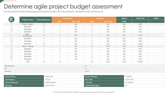 Determine Agile Project Budget Assessment Playbook For Agile Information PDF