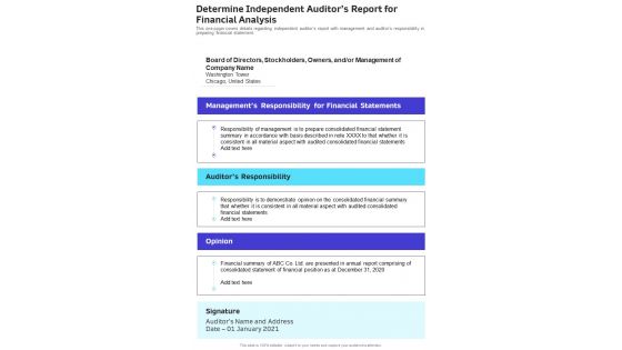 Determine Independent Auditors Report For Financial Analysis Template 17 One Pager Documents