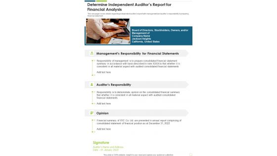 Determine Independent Auditors Report For Financial Analysis Template 234 One Pager Documents