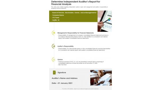 Determine Independent Auditors Report For Financial Analysis Template 40 One Pager Documents