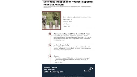 Determine Independent Auditors Report For Financial Analysis Template 5 One Pager Documents