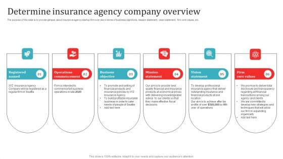 Determine Insurance Agency Company Overview Professional PDF