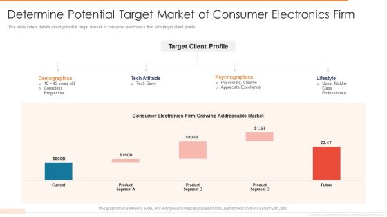 Determine Potential Target Market Of Consumer Electronics Firm Designs PDF