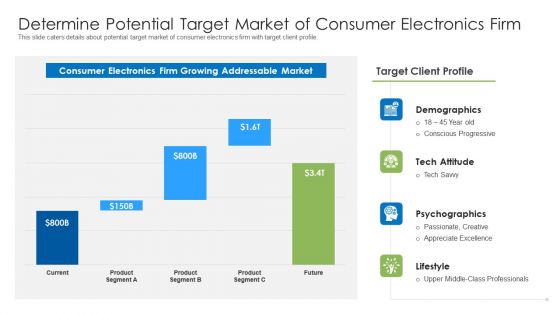 Determine Potential Target Market Of Consumer Electronics Firm Ppt Layouts Background Image PDF