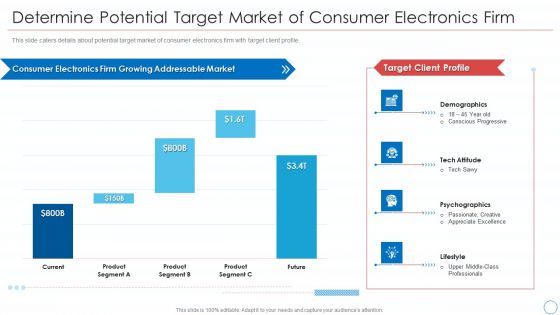 Determine Potential Target Market Of Consumer Electronics Firm Professional PDF