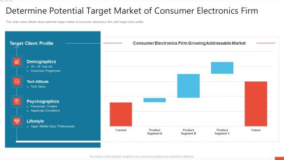 Determine Potential Target Market Of Consumer Electronics Firm Sample PDF