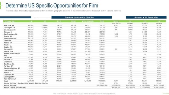 Determine US Specific Opportunities For Firm Template PDF