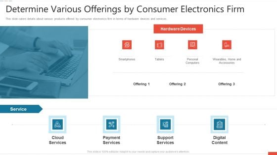 Determine Various Offerings By Consumer Electronics Firm Portrait PDF