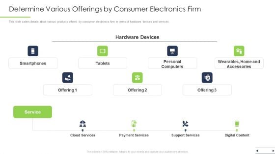 Determine Various Offerings By Consumer Electronics Firm Ppt File Outline PDF