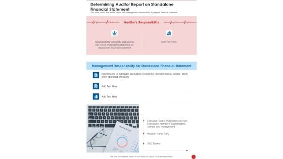 Determining Auditor Report On Standalone Financial Statement One Pager Documents