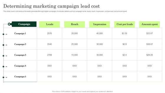 Determining Marketing Campaign Lead Cost Enhancing Client Lead Conversion Rates Background PDF