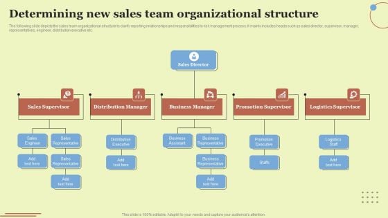 Determining New Sales Team Organizational Structure Brochure PDF