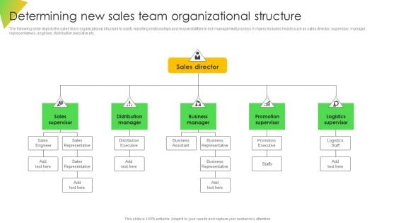 Determining New Sales Team Organizational Structure Introduction PDF