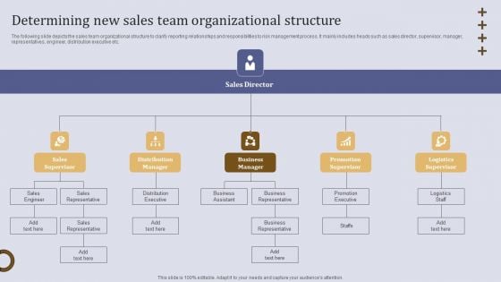 Determining New Sales Team Organizational Structure Ppt Outline Show PDF