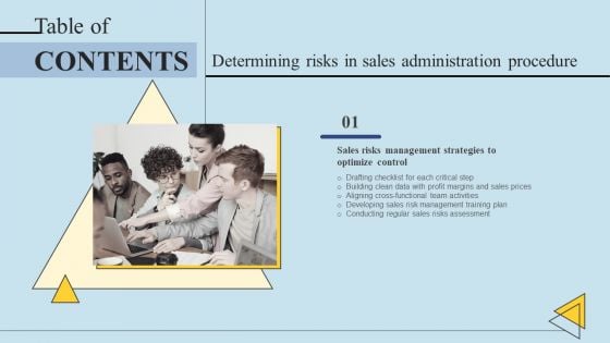 Determining Risks In Sales Administration Procedure Tables Of Content Graphics PDF