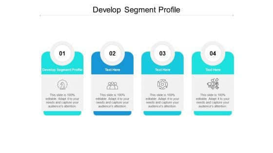 Develop Segment Profile Ppt PowerPoint Presentation File Graphic Tips Cpb